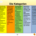 Beratung von hochstrittigen Eltern - Kategorien für die Diagnostik